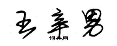 朱锡荣王辛男草书个性签名怎么写