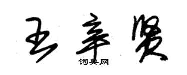 朱锡荣王辛贤草书个性签名怎么写