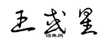 曾庆福王或星草书个性签名怎么写