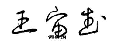 曾庆福王宙武草书个性签名怎么写