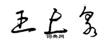 曾庆福王上泉草书个性签名怎么写