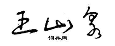曾庆福王山泉草书个性签名怎么写