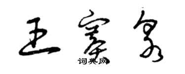 曾庆福王赛泉草书个性签名怎么写