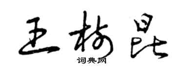 曾庆福王树昆草书个性签名怎么写