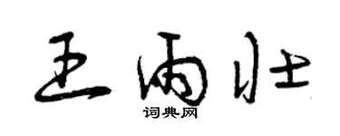 曾庆福王雨壮草书个性签名怎么写