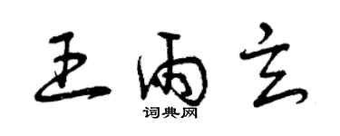 曾庆福王雨玄草书个性签名怎么写