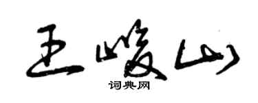 曾庆福王峻山草书个性签名怎么写