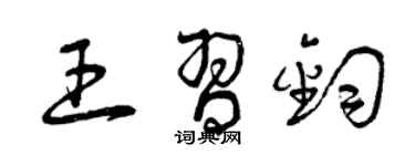 曾庆福王习钧草书个性签名怎么写
