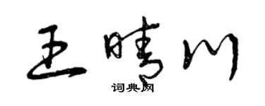 曾庆福王晴川草书个性签名怎么写
