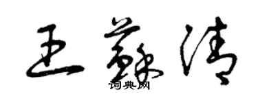 曾庆福王苏清草书个性签名怎么写