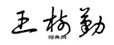 曾庆福王树勤草书个性签名怎么写