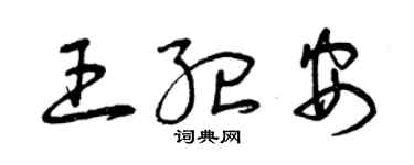 曾庆福王纪安草书个性签名怎么写