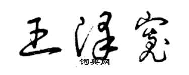 曾庆福王泽宽草书个性签名怎么写