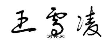曾庆福王雪凌草书个性签名怎么写