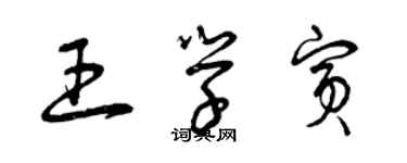 曾庆福王学宾草书个性签名怎么写