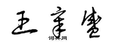 曾庆福王章盛草书个性签名怎么写