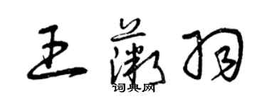 曾庆福王薇羽草书个性签名怎么写