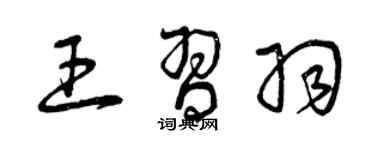 曾庆福王习羽草书个性签名怎么写