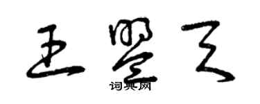 曾庆福王盟天草书个性签名怎么写