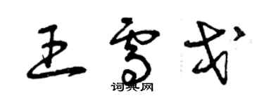 曾庆福王雪戈草书个性签名怎么写