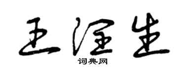 曾庆福王润生草书个性签名怎么写