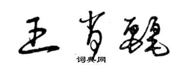 曾庆福王肖丽草书个性签名怎么写