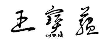 曾庆福王宝蕴草书个性签名怎么写