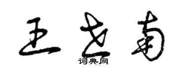 曾庆福王世南草书个性签名怎么写