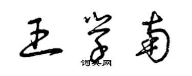 曾庆福王学南草书个性签名怎么写