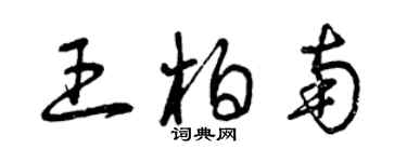 曾庆福王柏南草书个性签名怎么写