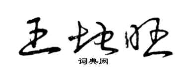 曾庆福王地旺草书个性签名怎么写