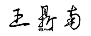 曾庆福王鼎南草书个性签名怎么写