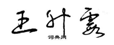 曾庆福王升霞草书个性签名怎么写