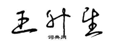 曾庆福王升望草书个性签名怎么写