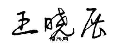 曾庆福王晓展草书个性签名怎么写