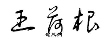 曾庆福王荷根草书个性签名怎么写