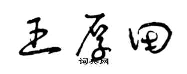 曾庆福王厚田草书个性签名怎么写