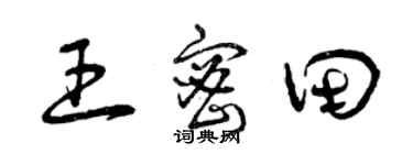 曾庆福王密田草书个性签名怎么写