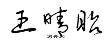 曾庆福王晴昭草书个性签名怎么写