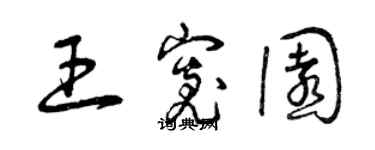 曾庆福王宽园草书个性签名怎么写