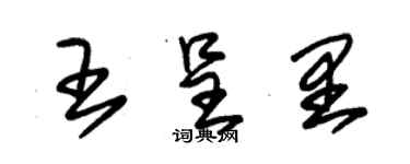 朱锡荣王呈里草书个性签名怎么写