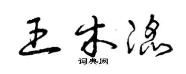 曾庆福王木滔草书个性签名怎么写
