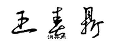 曾庆福王春鼎草书个性签名怎么写