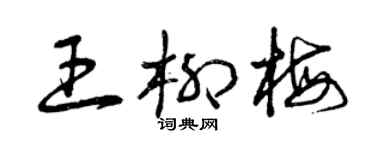 曾庆福王柳梅草书个性签名怎么写
