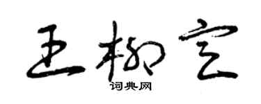 曾庆福王柳定草书个性签名怎么写