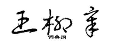 曾庆福王柳章草书个性签名怎么写