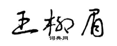 曾庆福王柳眉草书个性签名怎么写