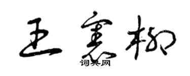 曾庆福王宪柳草书个性签名怎么写