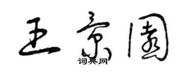 曾庆福王景园草书个性签名怎么写