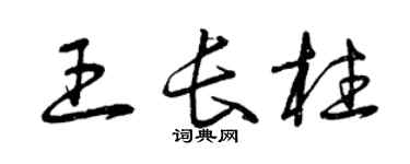 曾庆福王长柱草书个性签名怎么写